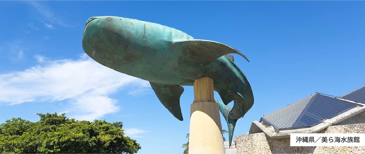 沖縄県/美ら海水族館